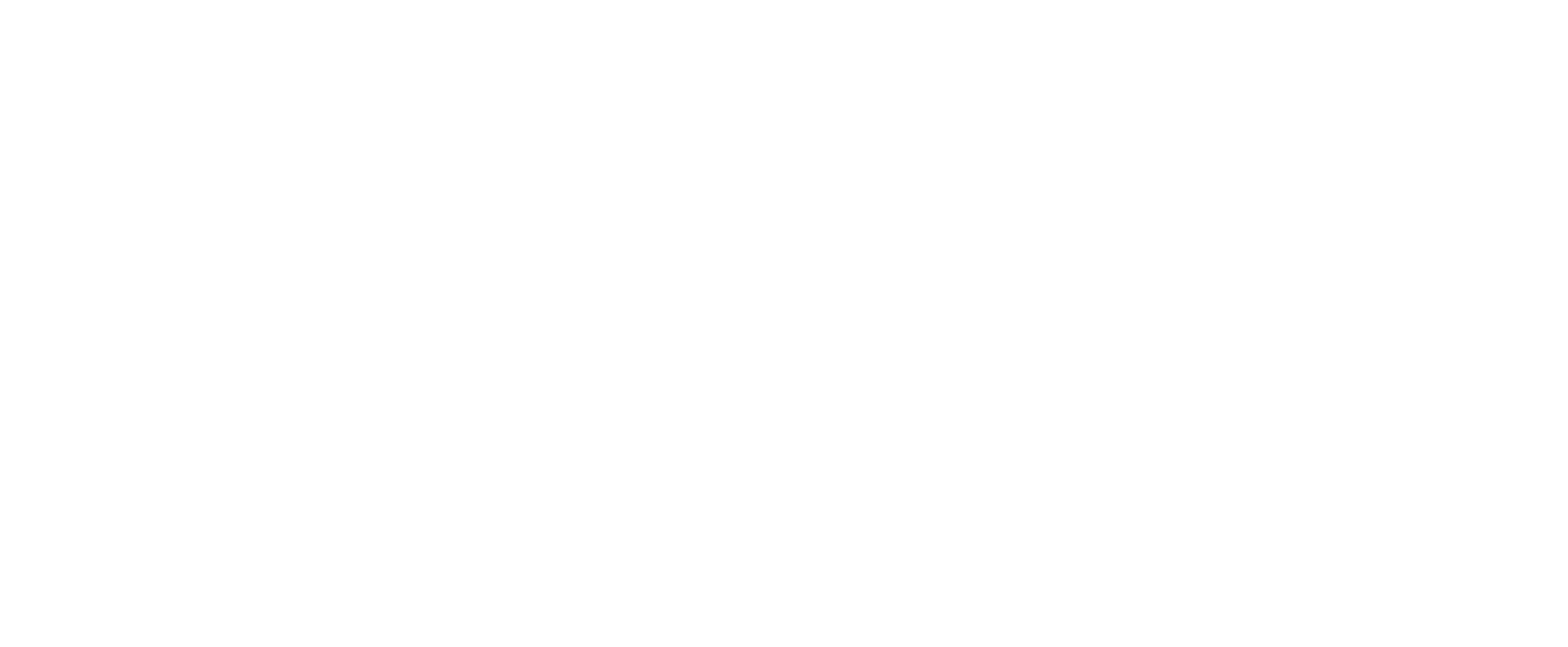 WIM Logo